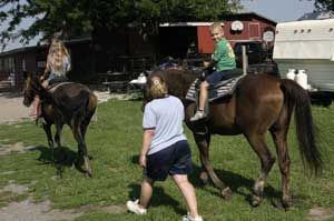 horse rider